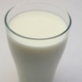 Гранична вредност афлатоксина у млеку
