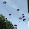 Граничар осуђен због "десанта медведића"