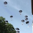 Граничар осуђен због "десанта медведића"