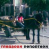Гледаоци репортери (24. фебруар 2013)