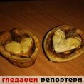 Гледаоци репортери (25. фебруар 2013)