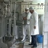 Из породичне млекаре у Македонију