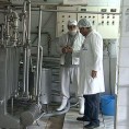 Из породичне млекаре у Македонију