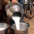 Забрањен промет млека са неколико фарми 