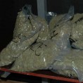 Откривене две лабораторије за марихуану