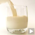 Повећана граница за афлатоксин у млеку