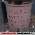 Гледаоци репортери (2. март 2013)