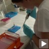 Строжа контрола хране широм Европе
