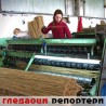 Гледаоци репортери (8. март 2013)