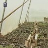 Грађанин