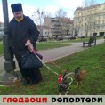 Гледаоци репортери (27. март 2013)