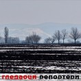Гледаоци репортери (31. март 2013)