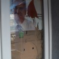 Kаменоване просторије СНС-а у Митровици 