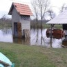 Сава плави Брчко