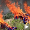 Палестинци заиста не воле Барсу