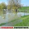 Гледаоци репортери (13. април 2013)