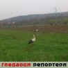 Гледаоци репортери (16. април 2013)