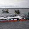 Бродолом у Индонезији