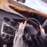 Прегажен пешак