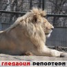 Гледаоци репортери (28. април 2013)