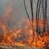 Угашени пожари код Лепосавића