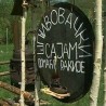 Дан на Златибору