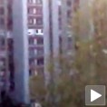Инвазија мушица и на Сарајево