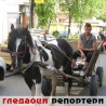 Гледаоци репортери (3. мај 2013)