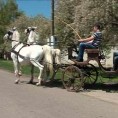 Црепаја спремна за фијакеријаду