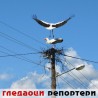 Гледаоци репортери (6. мај 2013)