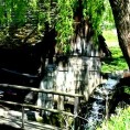Сабор бистричких воденичара
