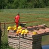 Изградња фабрике у Лепенцу - помоћ завичају