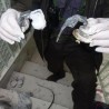 Би-Би-Си: Употребљено хемијско оружје
