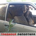 Гледаоци репортери (17. мај 2013)