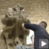 Млади уметници у Тераторији