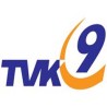 Две деценије Канала 9