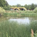 Хоће ли Панчевци добити језеро