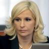 Михајловић: Није се разговарало о изборима