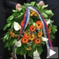 Годишњица битке на Чегру