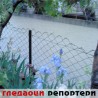 Гледаоци репортери (3. јун 2013)
