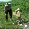 Мистериозне камене фигуре у Скробници