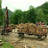 Сеча шума на Голији уништава и путеве