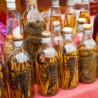 „Змијевача“, лек за све болести