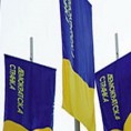 Изборна трка за челника београдског ДС-а
