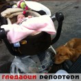 Гледаоци репортери (11. јун 2013)