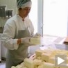 Поново формирана земљорадничка задруга 