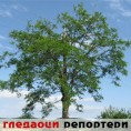 Гледаоци репортери (21. јун 2013)