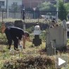 Обележене Задушнице у Косовској Митровици