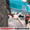 Гледаоци репортери (23. јун 2013)