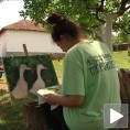 Ликовна колонија на сеоском имању